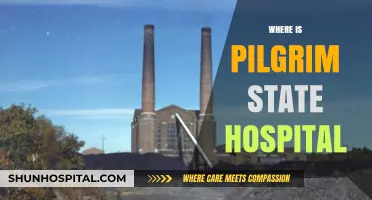Exploring the Location and History of Pilgrim State Hospital