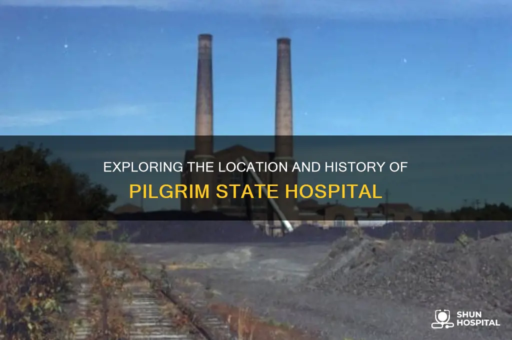 where is pilgrim state hospital