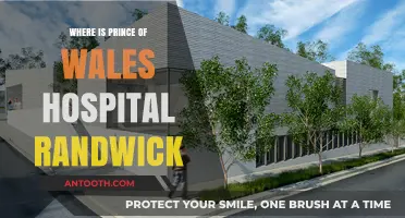 Prince of Wales Hospital Randwick: Location and Directions Guide