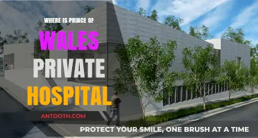 Discovering the Location of Prince of Wales Private Hospital