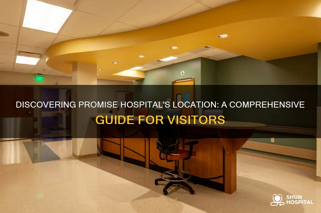 where is promise hospital
