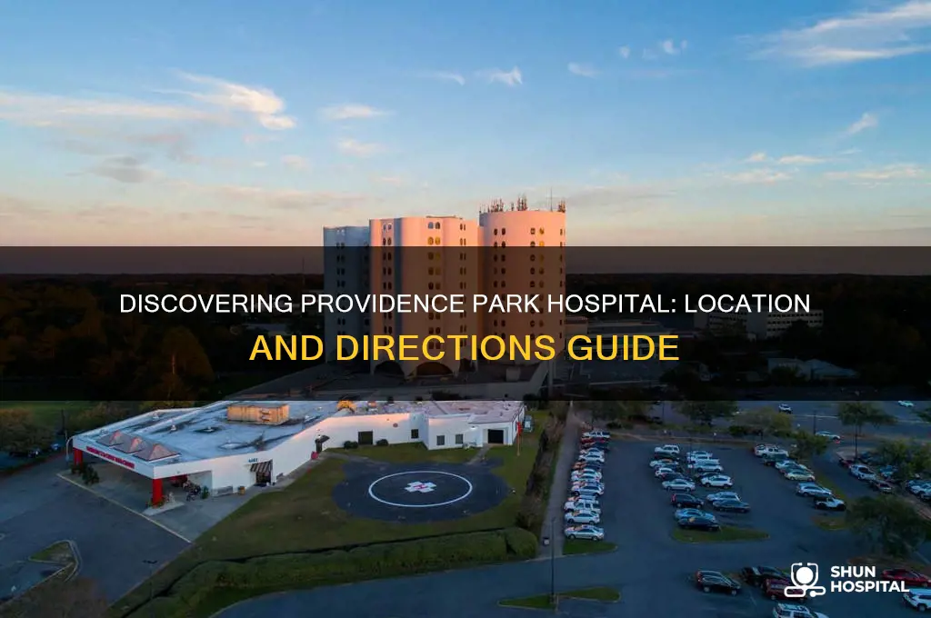 where is providence park hospital