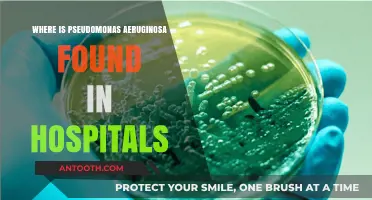 Uncovering Pseudomonas Aeruginosa: Common Hospital Habitats and Risks
