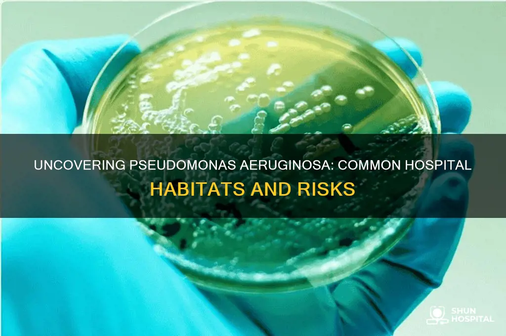 where is pseudomonas aeruginosa found in hospitals