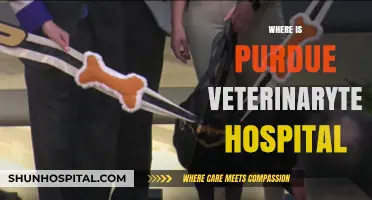 Discover Purdue's Veterinary Teaching Hospital Location and Services