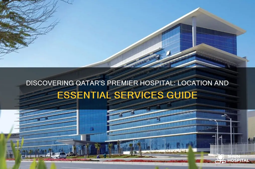 where is qatar hospital