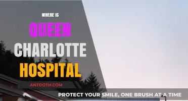Discovering Queen Charlotte Hospital's Location: A Comprehensive Guide