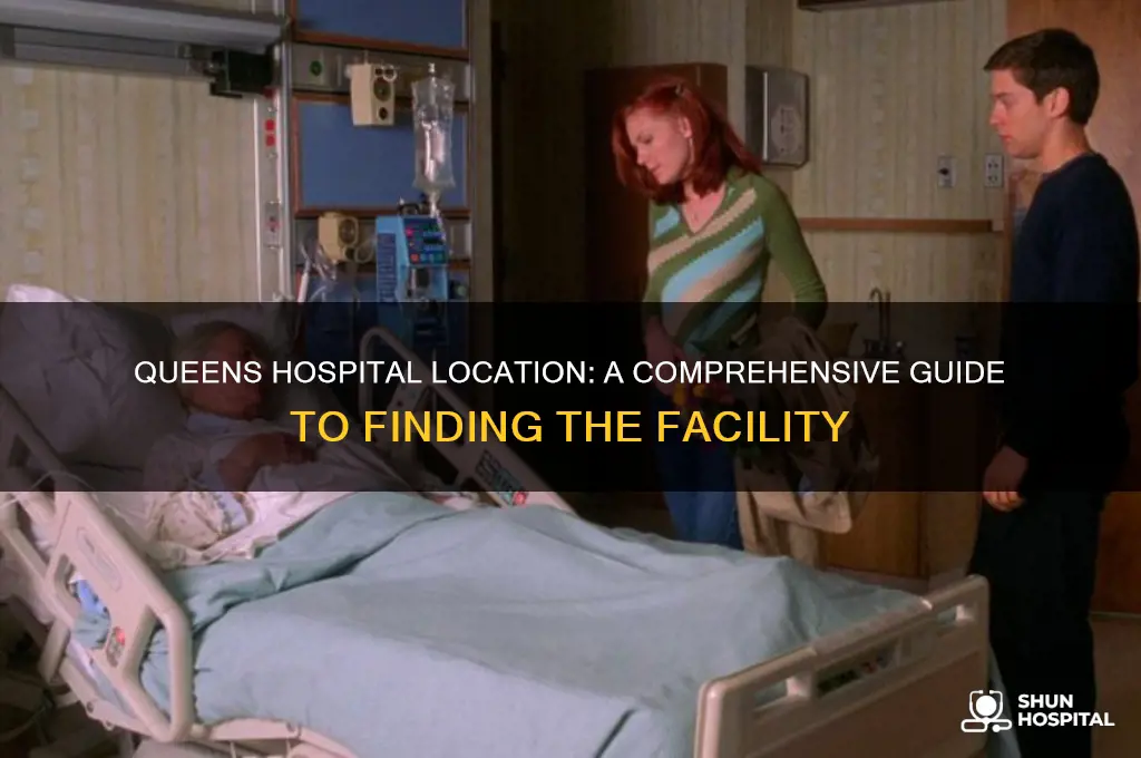 where is queens hospital