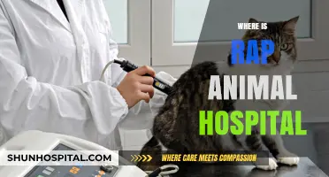 Where is Rap Animal Hospital? Location and Services Guide