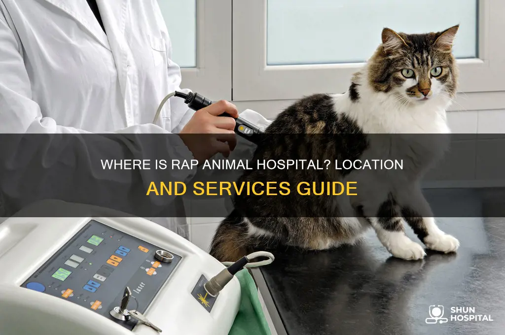where is rap animal hospital