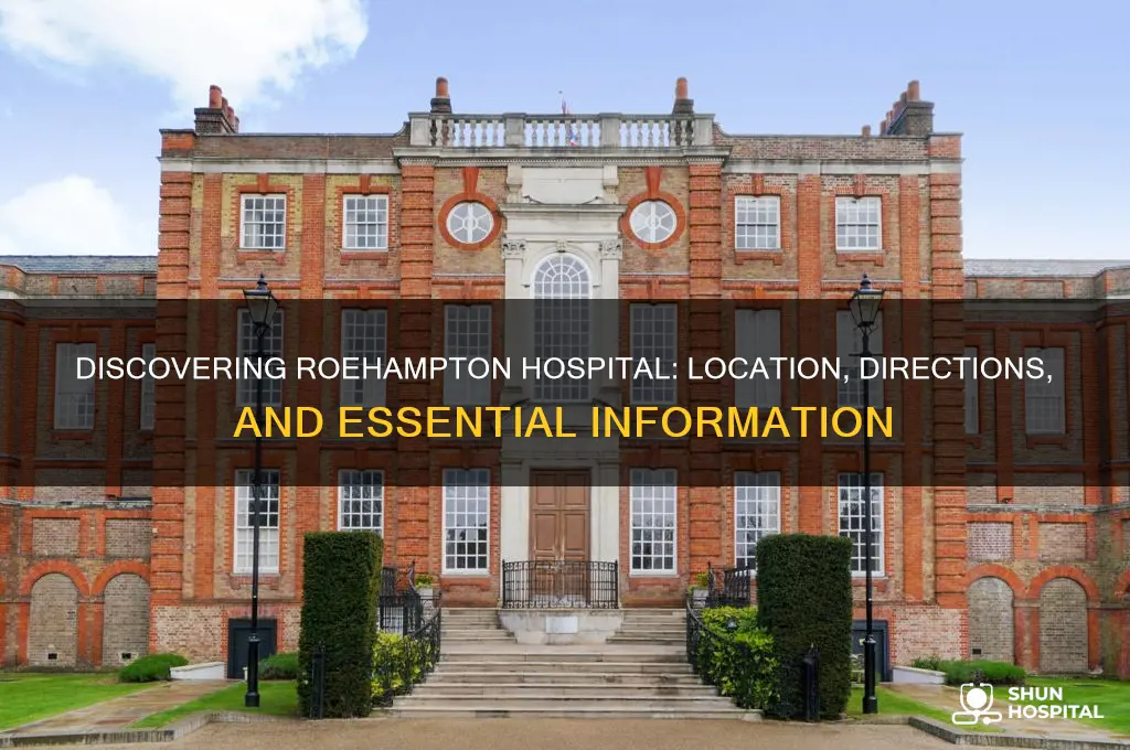 where is roehampton hospital