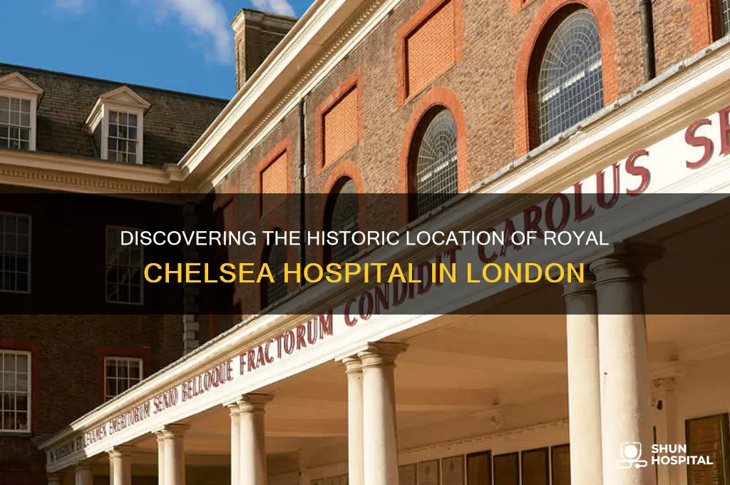 where is royal chelsea hospital