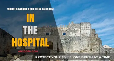 Sancho's Whereabouts: Unraveling the Mystery During Bolsa's Hospital Call