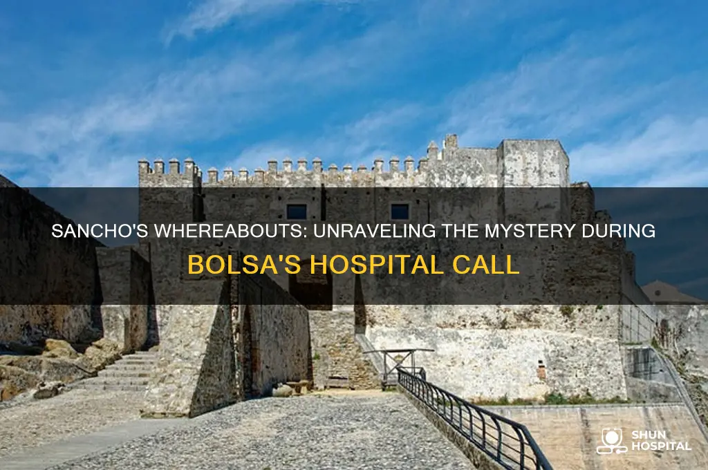where is sancho when bolsa calls him in the hospital