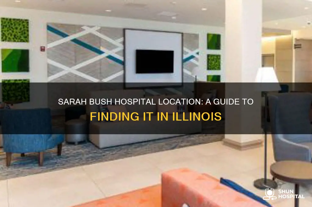 where is sarah bush hospital in illinois