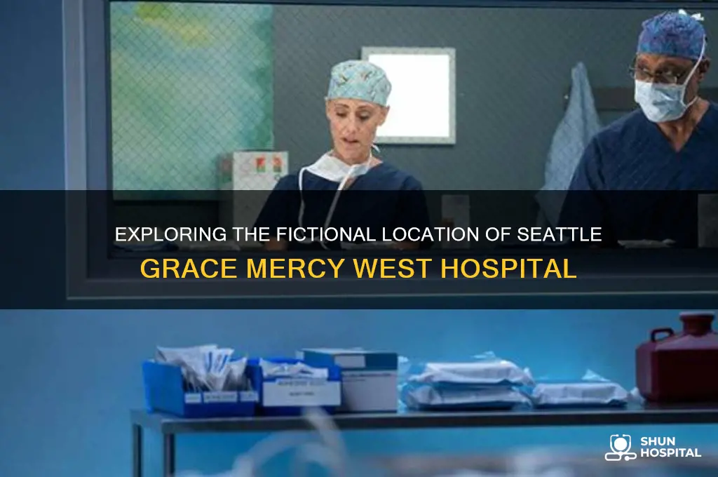 where is seattle grace mercy west hospital