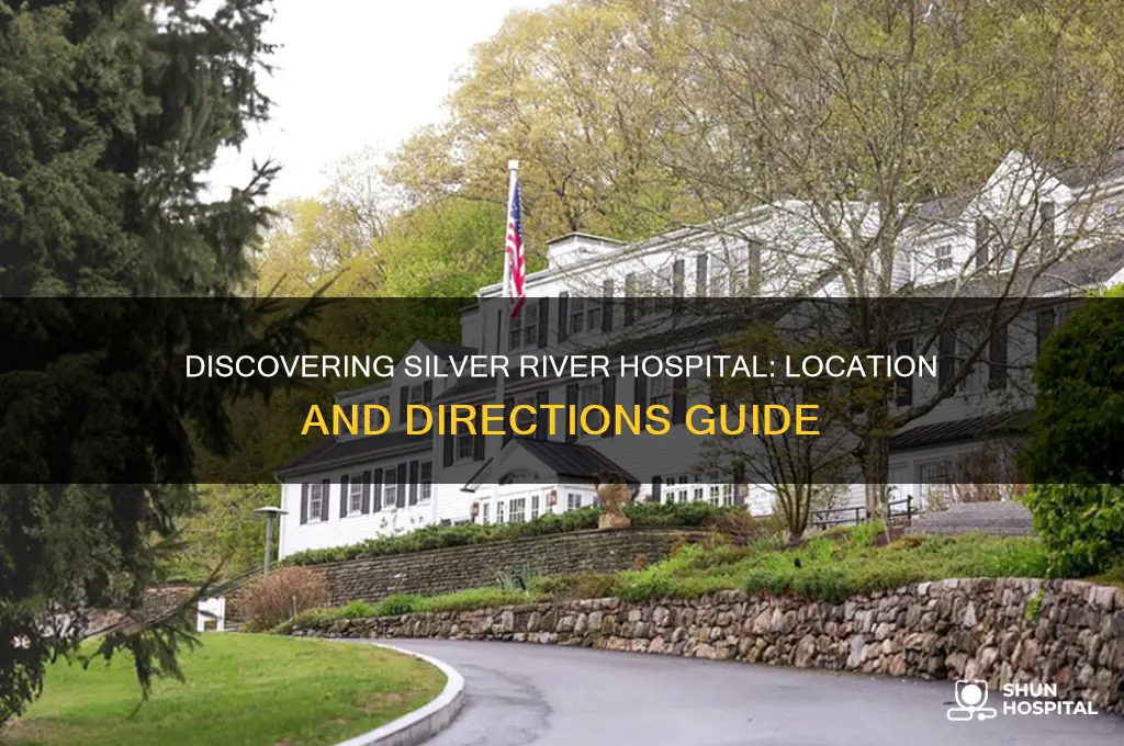 where is silver river hospital