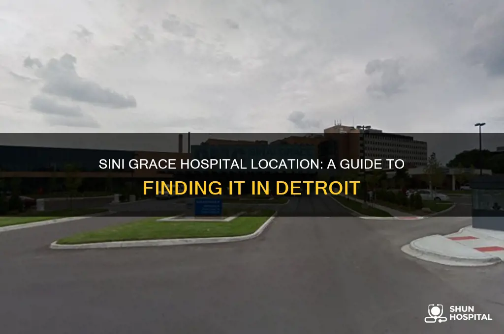 where is sini grace hospital in detroit