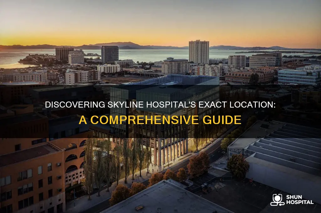 where is skyline hospital