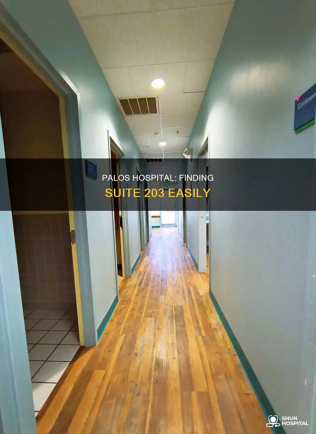 where is ste 203 in palos hospital