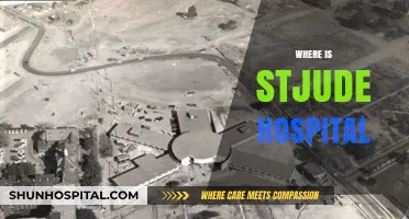 Discovering St. Jude Children's Research Hospital's Location and Mission