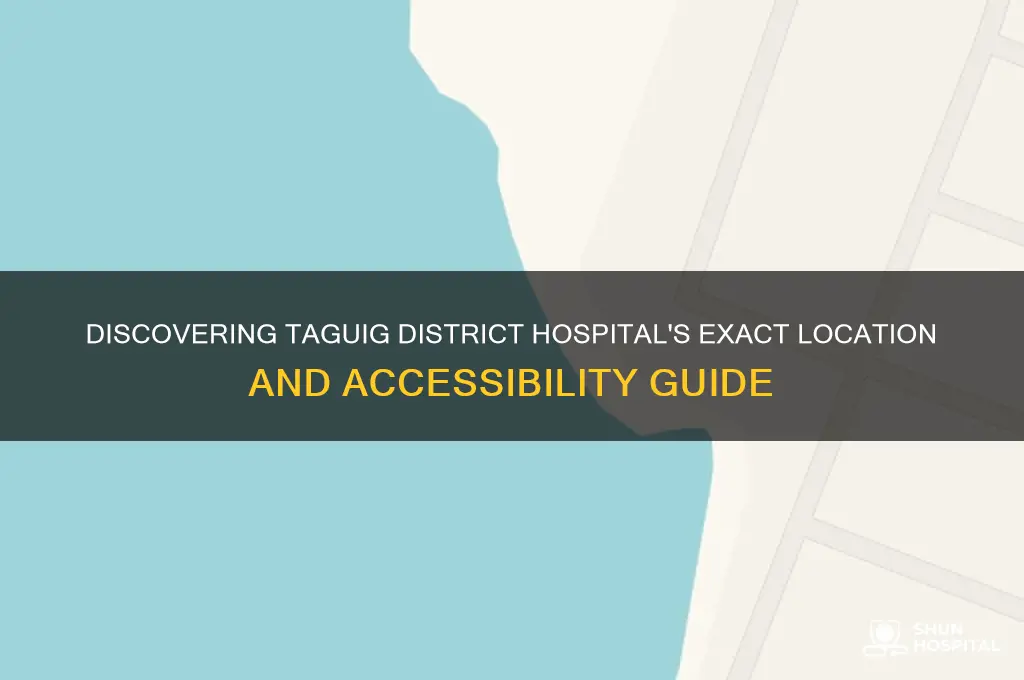 where is taguig district hospital