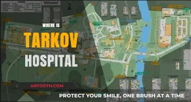Locating Tarkov Hospital: A Comprehensive Guide to Its Exact Position