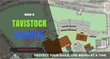 Discovering Tavistock Hospital's Location: A Comprehensive Guide for Visitors
