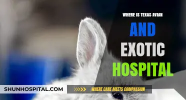 Texas Avian and Exotic Hospital: Location and Essential Services Guide