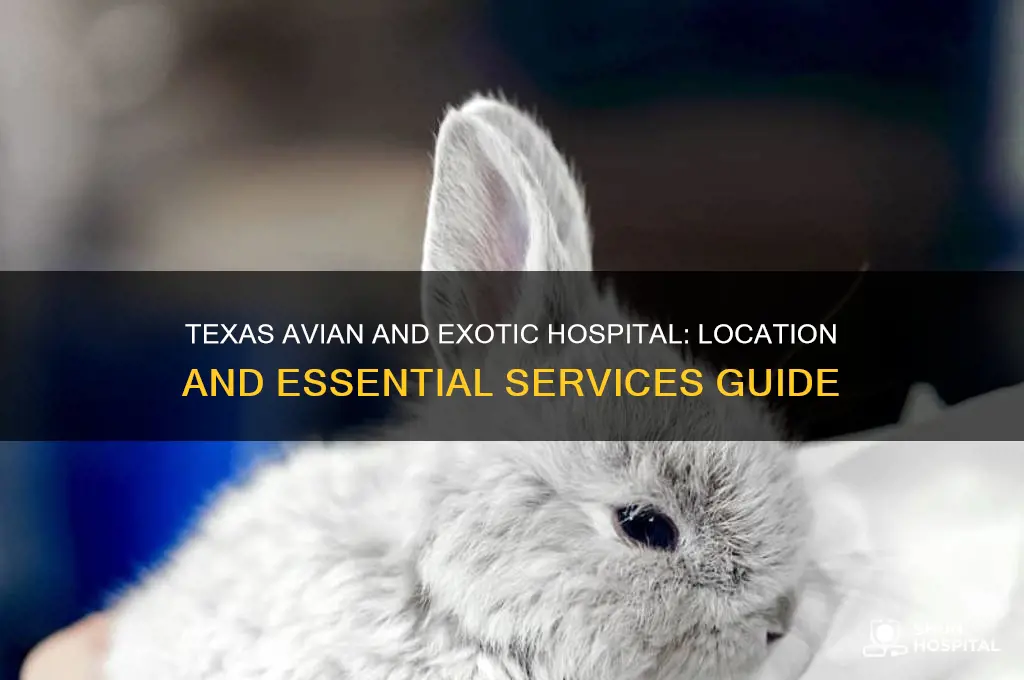 where is texas avian and exotic hospital