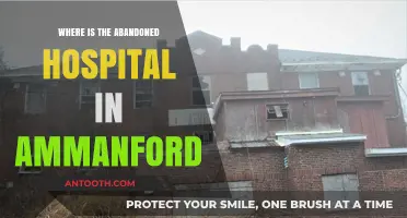 Exploring Ammanford's Forgotten Hospital: Location and Haunting History Revealed