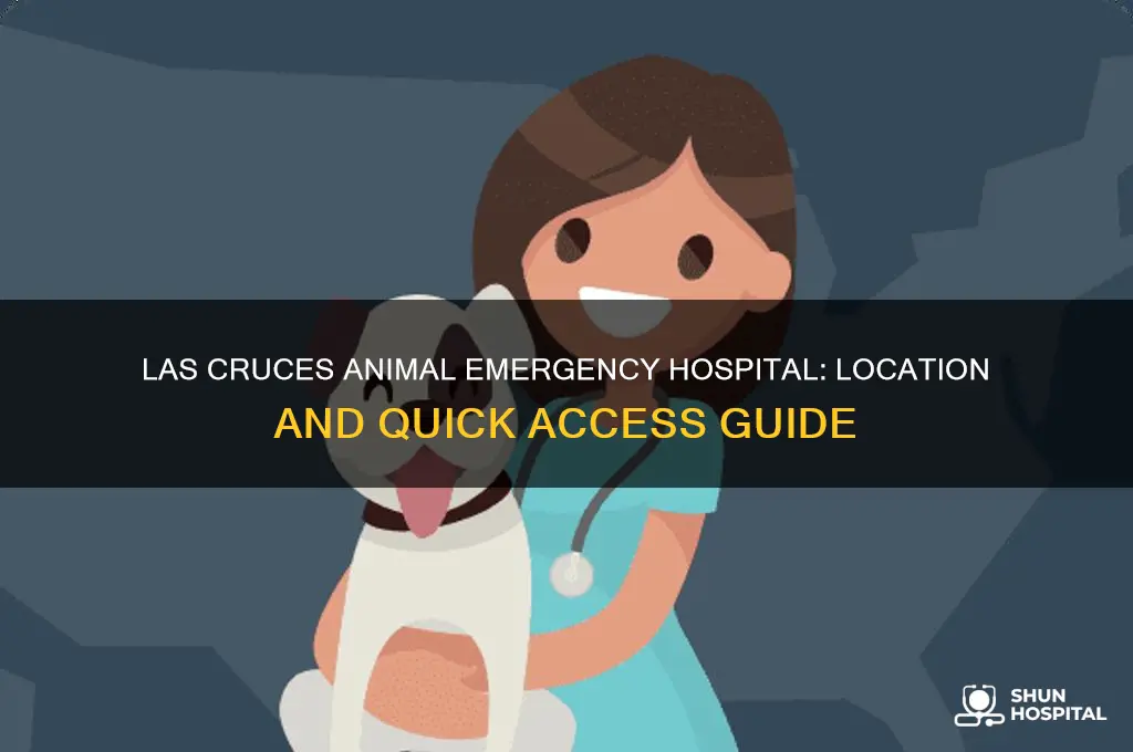 where is the animal emergency hospital in las cruces
