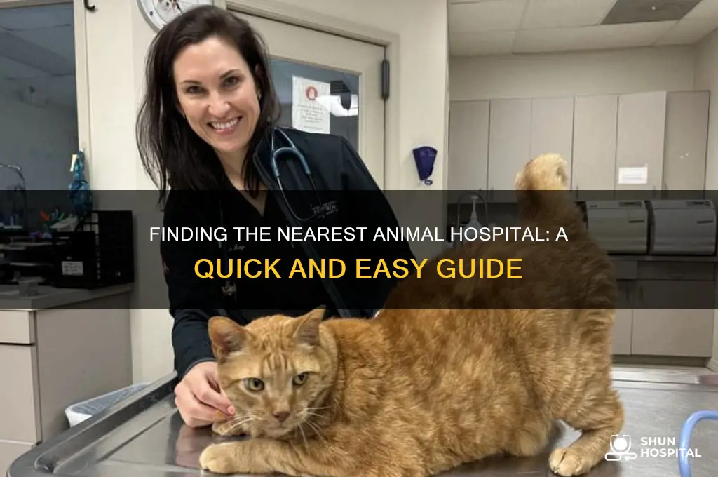 where is the animal hospital