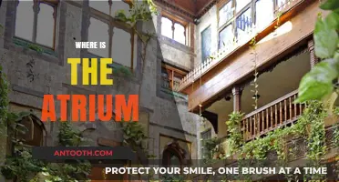 Exploring the Atrium: Location, Function, and Architectural Significance