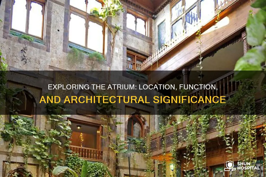 where is the atrium
