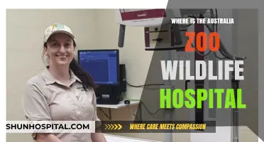 Discover the Location of Australia Zoo's Wildlife Hospital