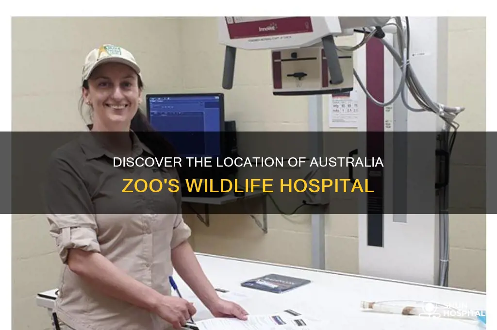 where is the australia zoo wildlife hospital