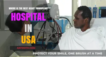 Top Heart Transplant Centers in the USA: Expert Care & Outcomes
