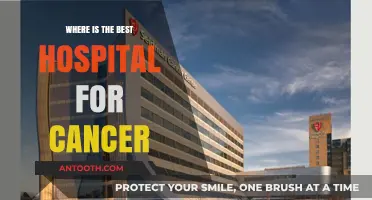 Top Cancer Hospitals: Finding the Best Care for Your Treatment