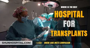 Top Transplant Centers: Where to Find the Best Care Globally