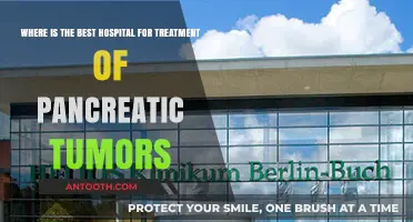 Top Hospitals for Pancreatic Tumor Treatment: Expert Care Guide