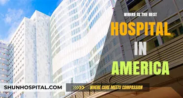 Discovering America's Top Hospital: Location, Reputation, and Patient Care