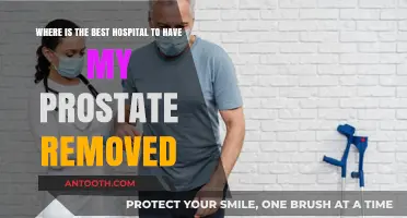 Top Hospitals for Prostate Removal: Expert Care and Recovery Options