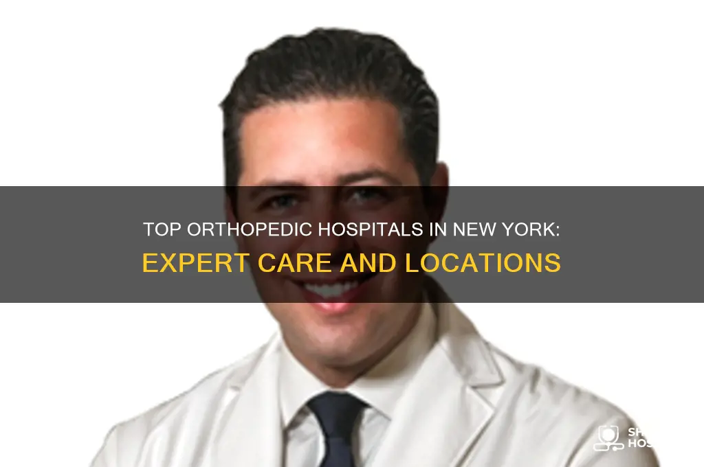 where is the best orthopedic hospital in new york