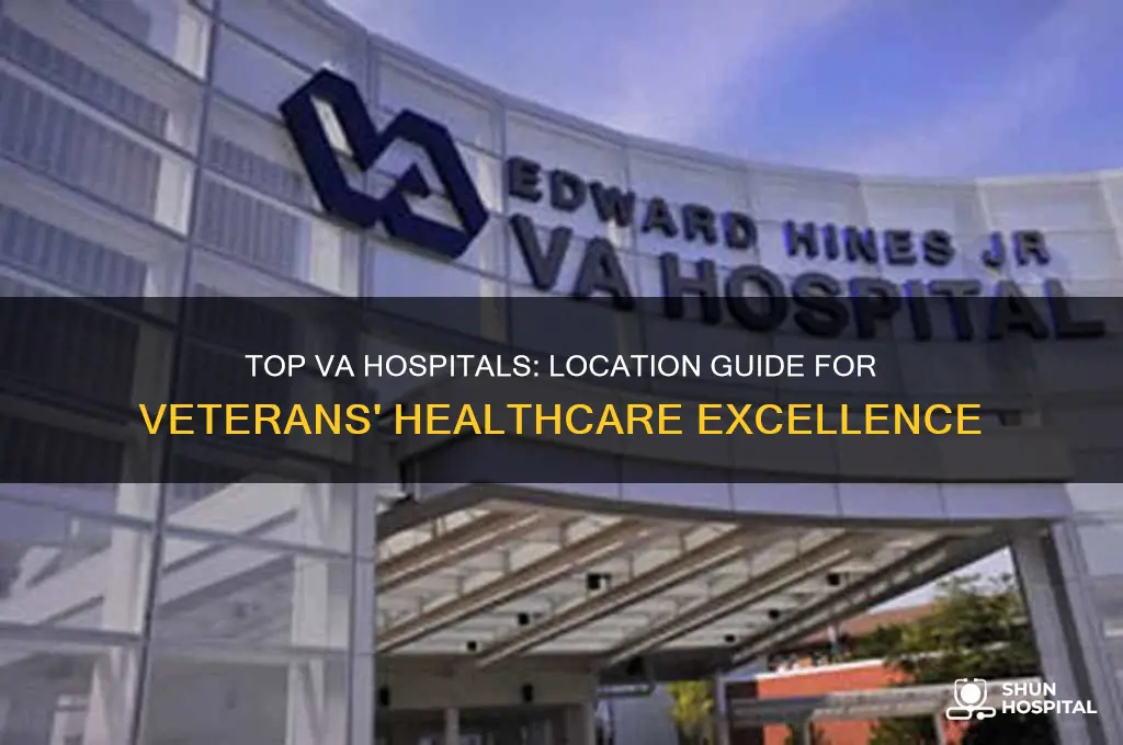where is the best va hospital located
