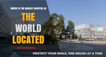 Discovering the World's Largest Hospital: Location and Scale Revealed