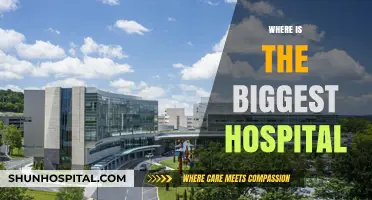 Exploring the World's Largest Hospital: Location and Scale Revealed