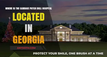 Cabbage Patch Doll Hospital Location in Georgia: A Quick Guide