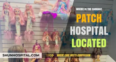 Discover the Cabbage Patch Hospital's Location: A Nostalgic Journey