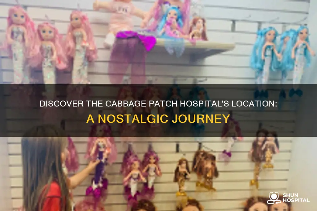 where is the cabbage patch hospital located